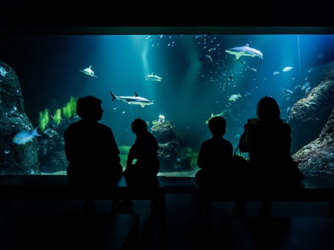 Gothenburg: Universeum Entry Ticket - Visitor Ratings and Feedback
