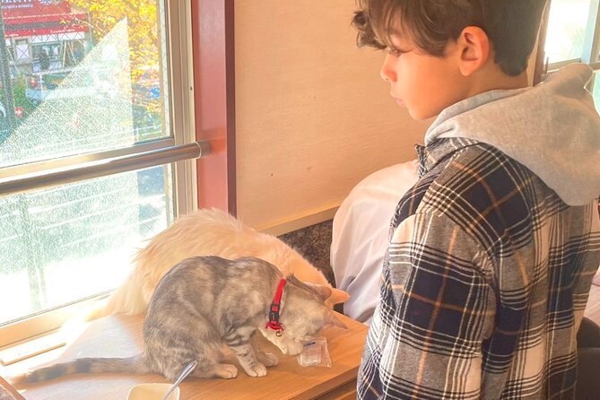 Gotokuji Cat Temple Shinjuku Cat Cafe and 3D Cat Tour - Meeting and End Points