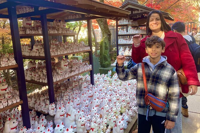 Gotokuji Cat Temple Shinjuku Cat Cafe and 3D Cat Tour - Tour Schedule and Duration