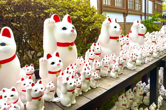 Gotokuji Cat Temple Shinjuku Cat Cafe and 3D Cat Tour - Participation Guidelines