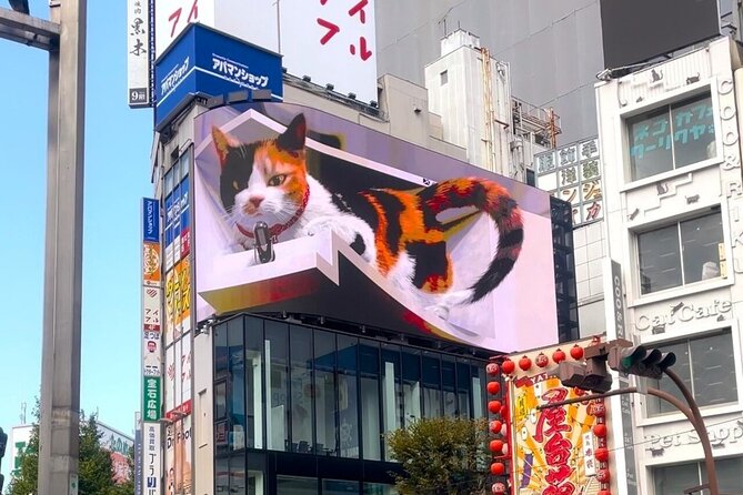 Gotokuji Cat Temple Shinjuku Cat Cafe and 3D Cat Tour - Explore the Gotokuji Cat Temple