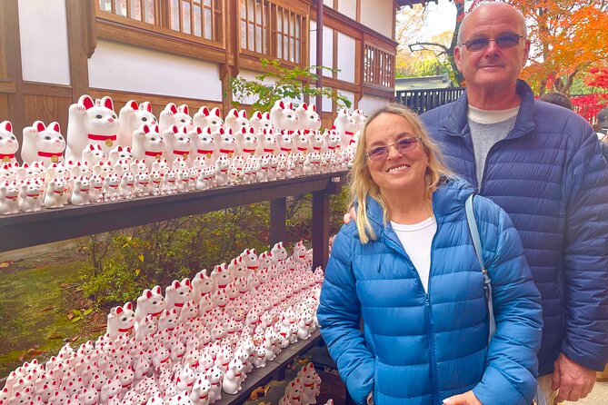 Gotokuji Cat Temple Shinjuku Cat Cafe and 3D Cat Tour - 3D Cat Attractions in Tokyo