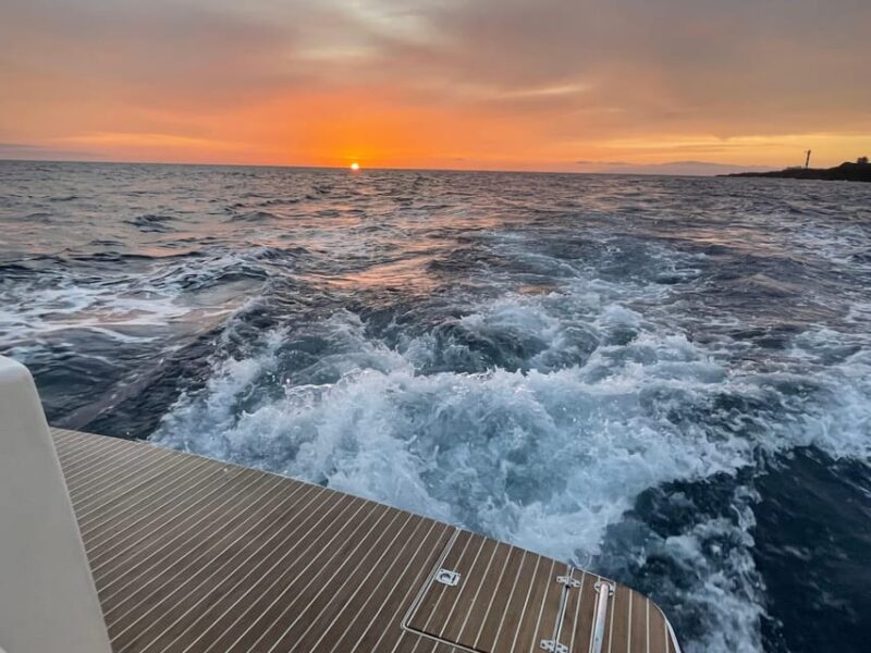 Gourmet Cruise at Sunset With Whale Watching - Key Points