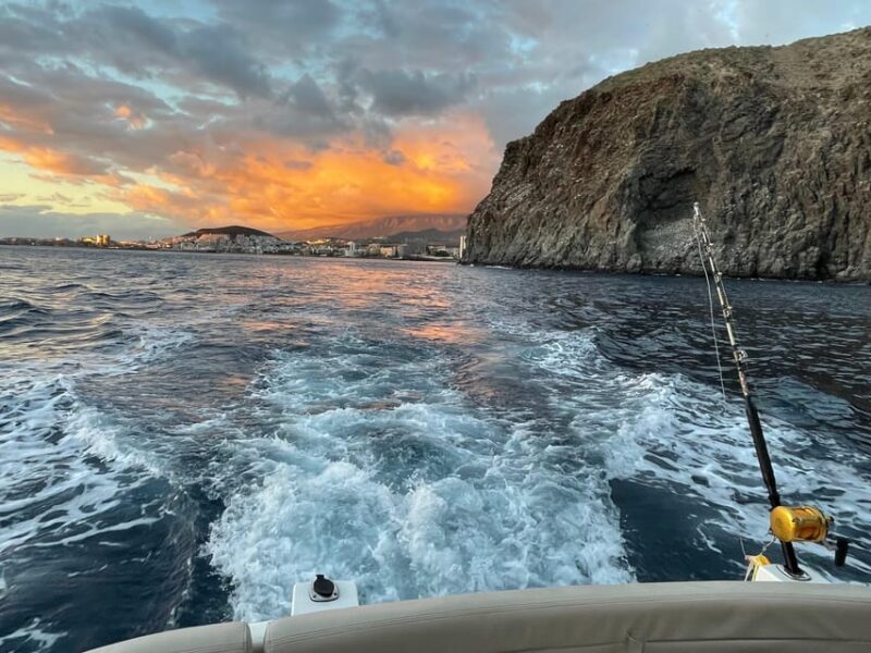 Gourmet Cruise at Sunset With Whale Watching - Pricing and Reservation