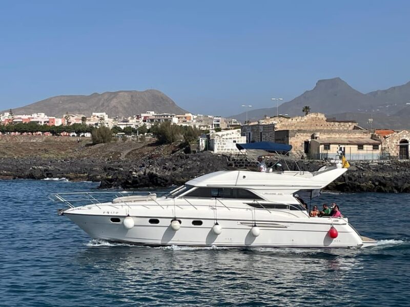 Gourmet Cruise at Sunset With Whale Watching - Frequently Asked Questions