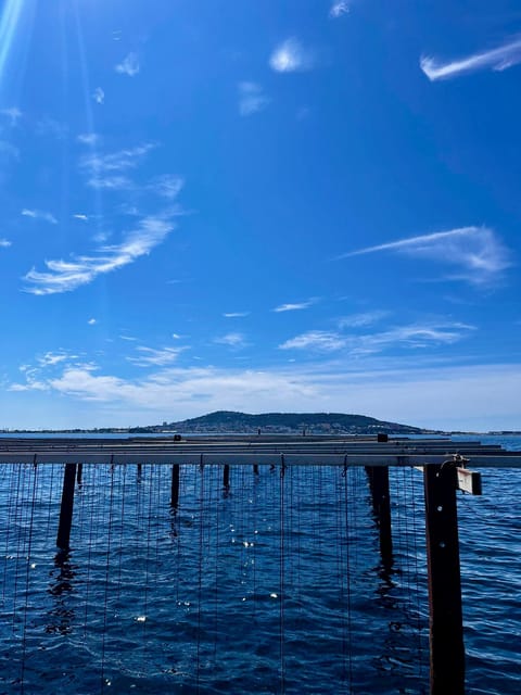 Gourmet Escape on the Etang De Thau - Sailing on the High-End Boat