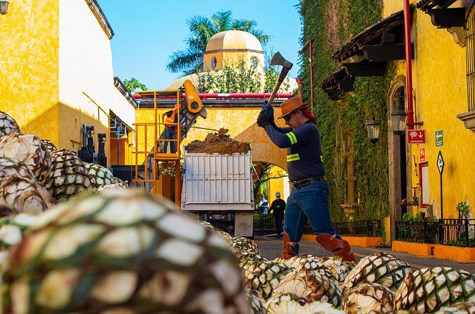 Gourmet tequilero - Who Should Consider This Experience?