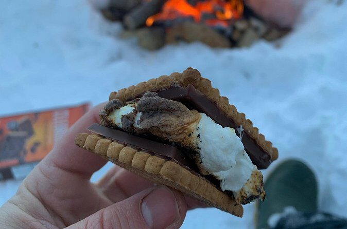 Gourmet Tour in Montreal 4 Must-See Meals - Who Should Consider This Tour?