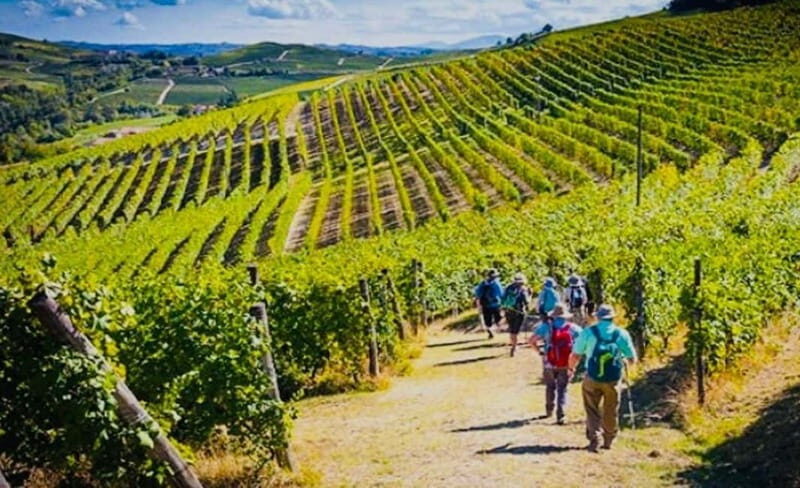 Gourmet & Wine: The Heart of Tuscany in a Day - Key Points