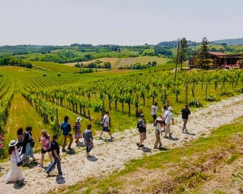 Gourmet & Wine: The Heart of Tuscany in a Day - FAQ