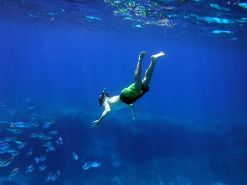 Gozo and Comino Boat and Snorkeling Adventure - Authentic Reviews: What Travelers Say
