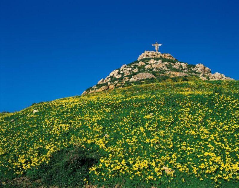 Gozo Day Pass Ferry and Hop-on Hop-off buses with audio Tour - An In-Depth Look at the Experience