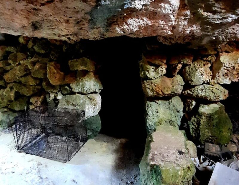 Gozo: Guided Hiking Tour With Bouldering - Experience the Bouldering Adventure