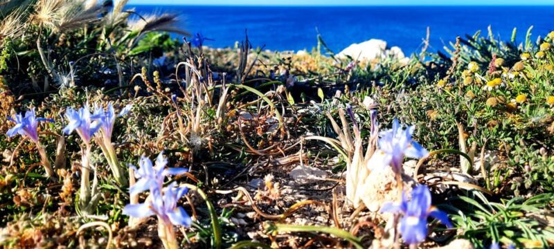 Gozo Unveiled: Guided Hiking in Gozo - North East - Who Should Consider This Tour?  