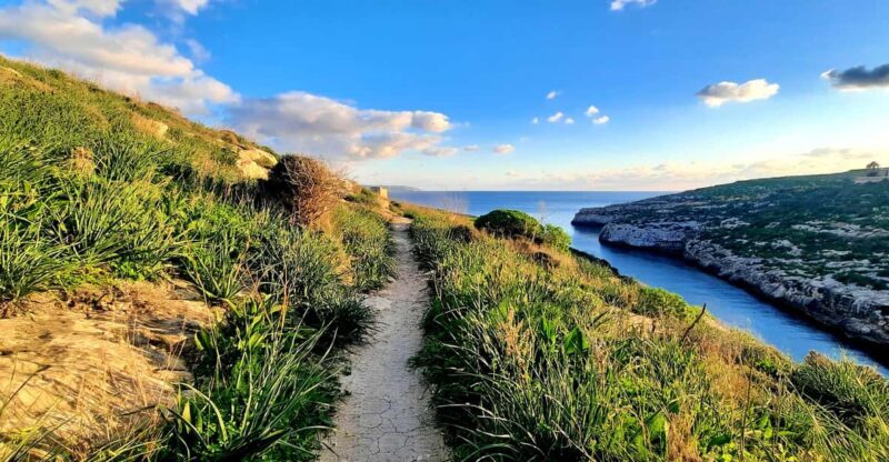 Gozo Unveiled: Guided Hiking in Gozo - South East - Who Should Consider This Tour?