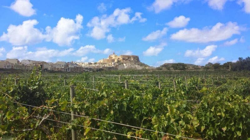 Gozo Victoria Walking Tour - An In-Depth Look at the Gozo Victoria Walking Tour