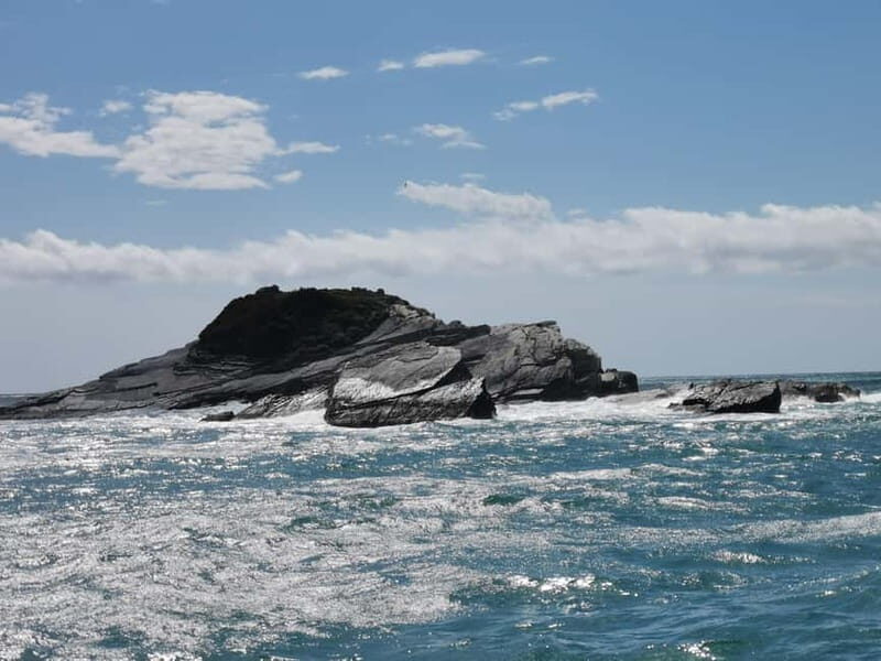 GOZZO - PRIVATE TOUR GULF OF THE POETS - 4 HOURS TOUR - Why Choose This Tour?