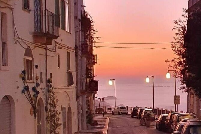 GPS Self guide Locorotondo+Alberobello + tasting in the vineyard - The Itinerary in Detail