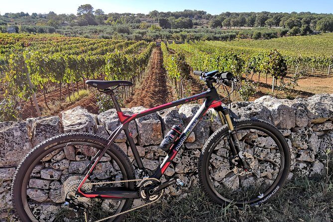 GPS Self guide Locorotondo+Alberobello + tasting in the vineyard - The Sum Up