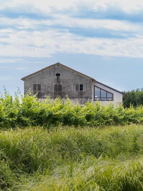 Grado: Journey into Ceramics with Tour & Wine Tasting - What Reviewers Say