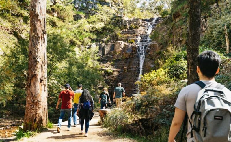 Grampians National Park Small-Group Eco Day Tour - Authentic Encounters with Wildlife