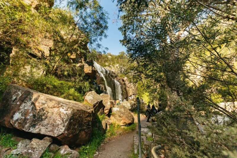 Grampians National Park Small-Group Eco Day Tour - FAQ: Common Questions About the Tour