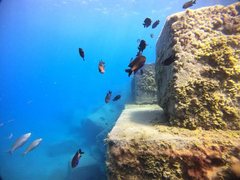 Gran Canaria: 3-Day Open Water Diver Course - Instructor Expertise