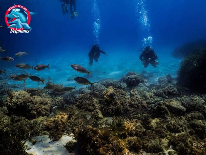 Gran Canaria: 3-Day Open Water Diver Course - Participant Requirements