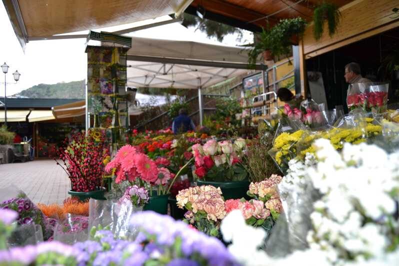 Gran Canaria: 3 Traditional Markets in One day - An Introduction to the Tour Experience