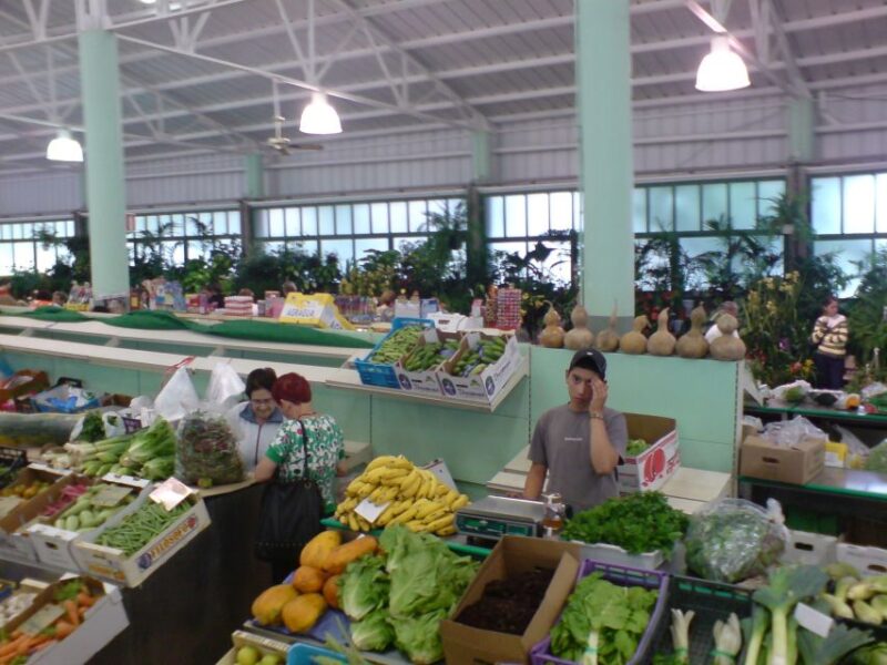 Gran Canaria: 6-Hour Teror and San Mateo Markets Tour - Customer Experience