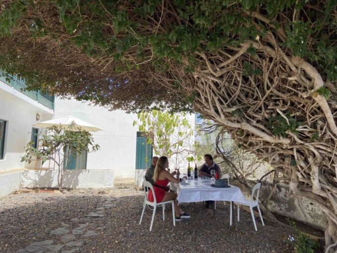Gran Canaria: Best Wineries and Views Tour - Stunning Landscapes and Photo Opportunities