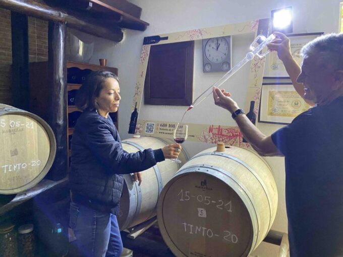 Gran Canaria: Best Wineries and Views Tour - Customer Testimonials and Reviews