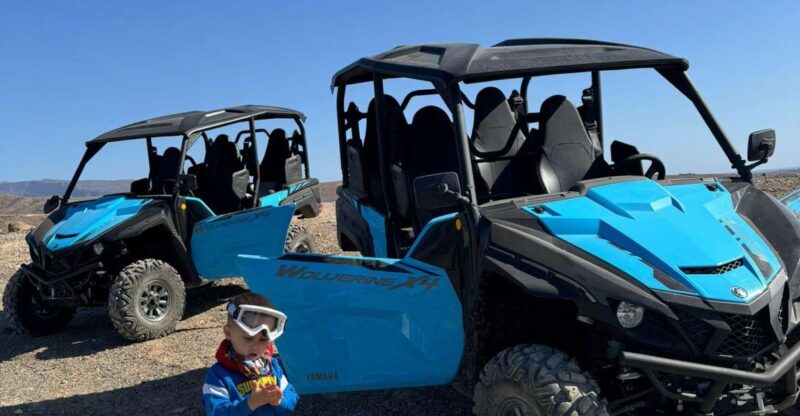 Gran Canaria Buggy Tour - Booking and Cancellation Policy
