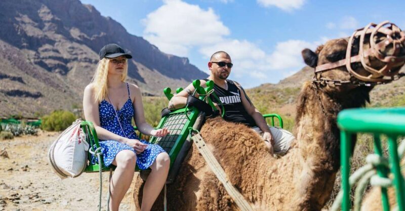 Gran Canaria: Camel Ride Safari w/ Optional Food & Transport - Authenticity and Value