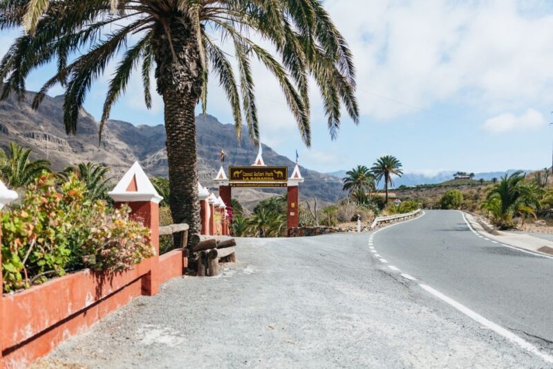 Gran Canaria: Camel Ride Safari w/ Optional Food & Transport - FAQ