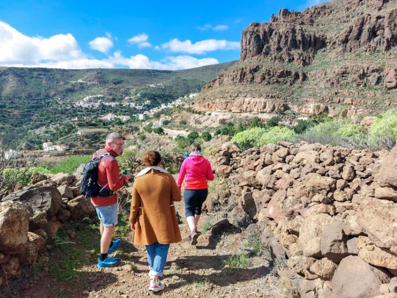 Gran Canaria: Cave, Oasis, Red Gorge Adventure & Picnic - Relaxing in Santa Lucía De Tirajana