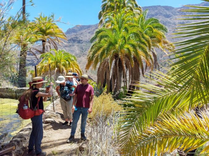 Gran Canaria: Cave, Oasis, Red Gorge Adventure & Picnic - Enjoying the Canarian Tapas Picnic
