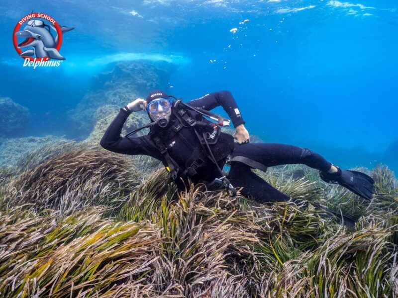 Gran Canaria: Discover Scuba Diving Beginner Program - Learning Experience