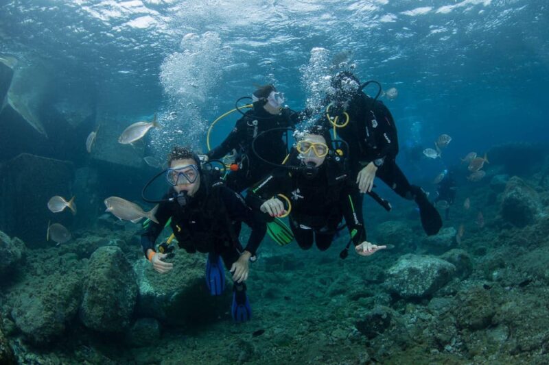 Gran Canaria: Discover Scuba Diving Beginner Program - Inclusions