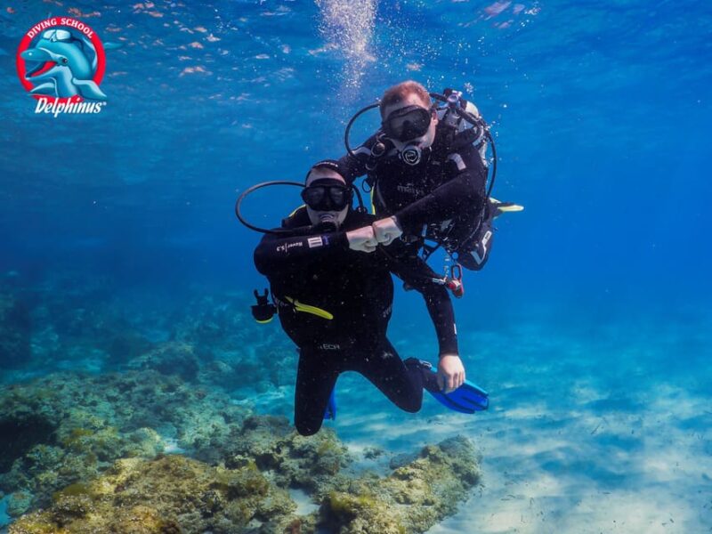 Gran Canaria: Discover Scuba Diving Beginner Program - Customer Feedback