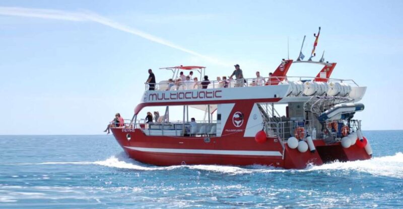 Gran Canaria: Dolphin and Whale Watching Cruise - Experience Details