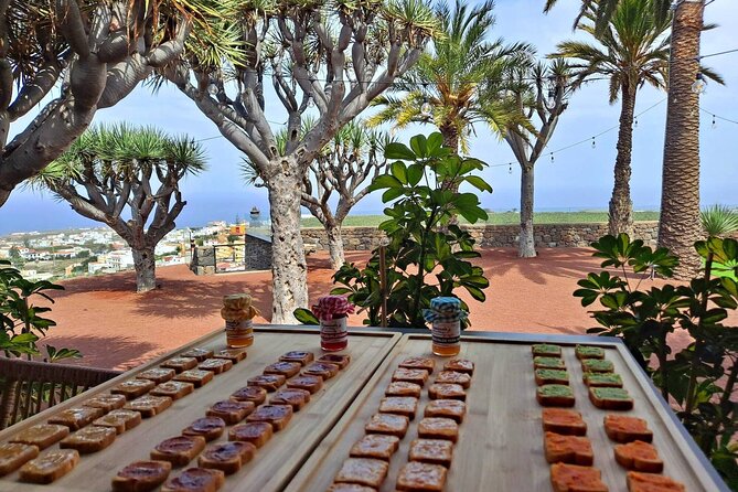 Gran Canaria Easy North Half Day Tour - Discover the North