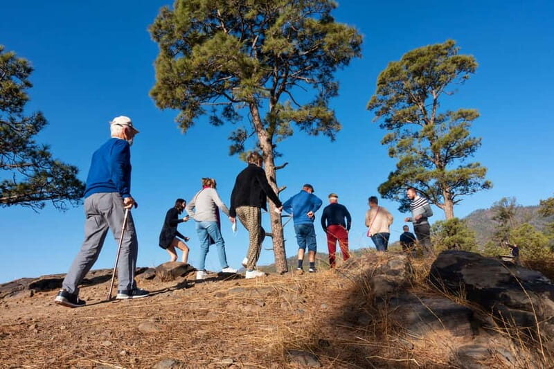 Gran Canaria: Full Coast Tour with Local Guide - The Sum Up