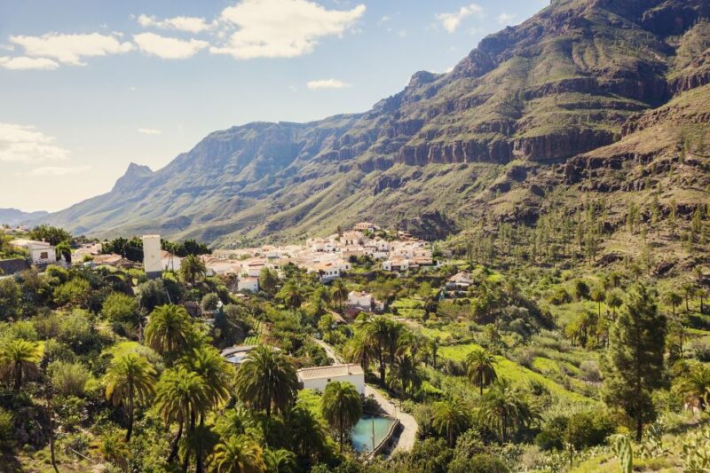Gran Canaria: Full-Day VIP Tour by Bus - Tour Guide & Languages