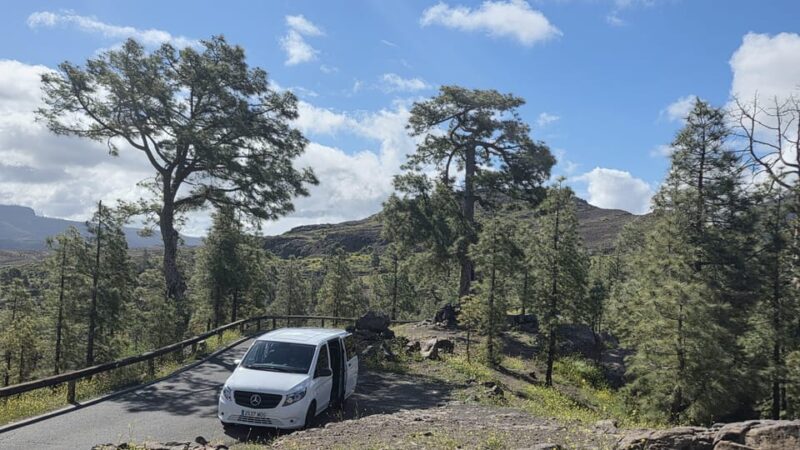 Gran Canaria: Full Island Tour in One Day - Exploring La Aldea De San Nicolás