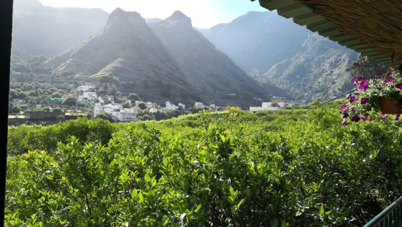 Gran Canaria: Grand Island Tour by Bus With Transfers - Pickup and Transfer Details