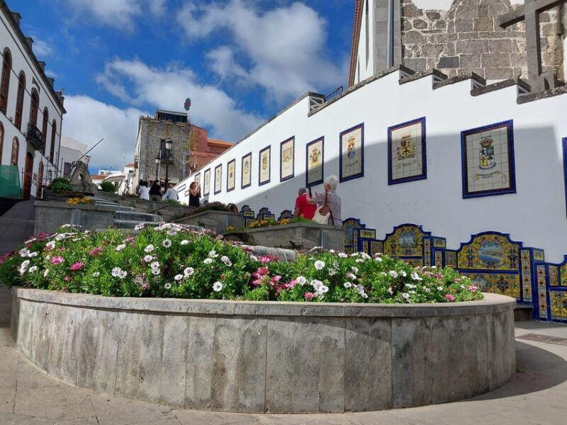 Gran Canaria: Green North Tour With Optional Lunch - Tour Highlights