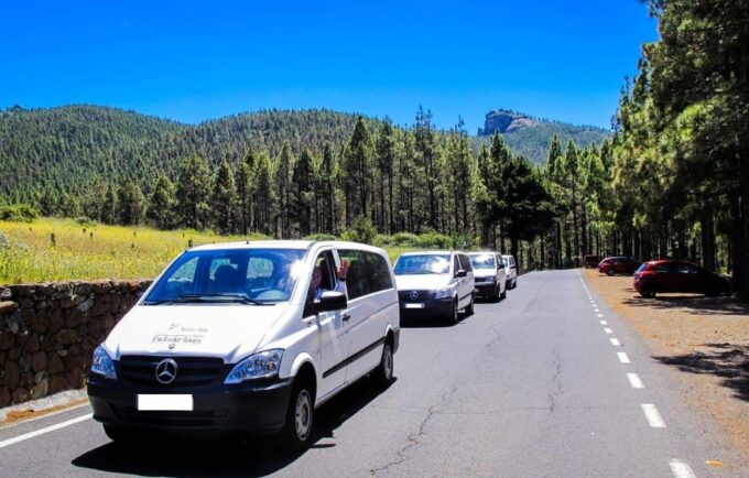 Gran Canaria: Green North Tour With Optional Lunch - Visiting Gáldar, Puerto De Las Nieves, and San Felipe Beach