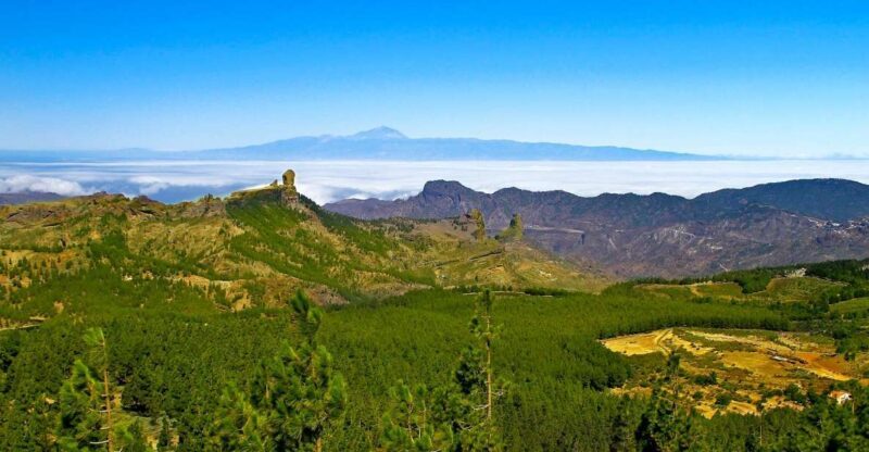 Gran Canaria Highlights Full-Day Tour by Bus - An In-Depth Look at the Tour