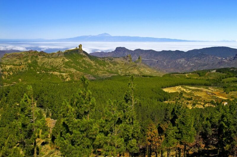 Gran Canaria Highlights Full-Day Tour by Bus - Mountain Views and Photo Stops at Tejeda